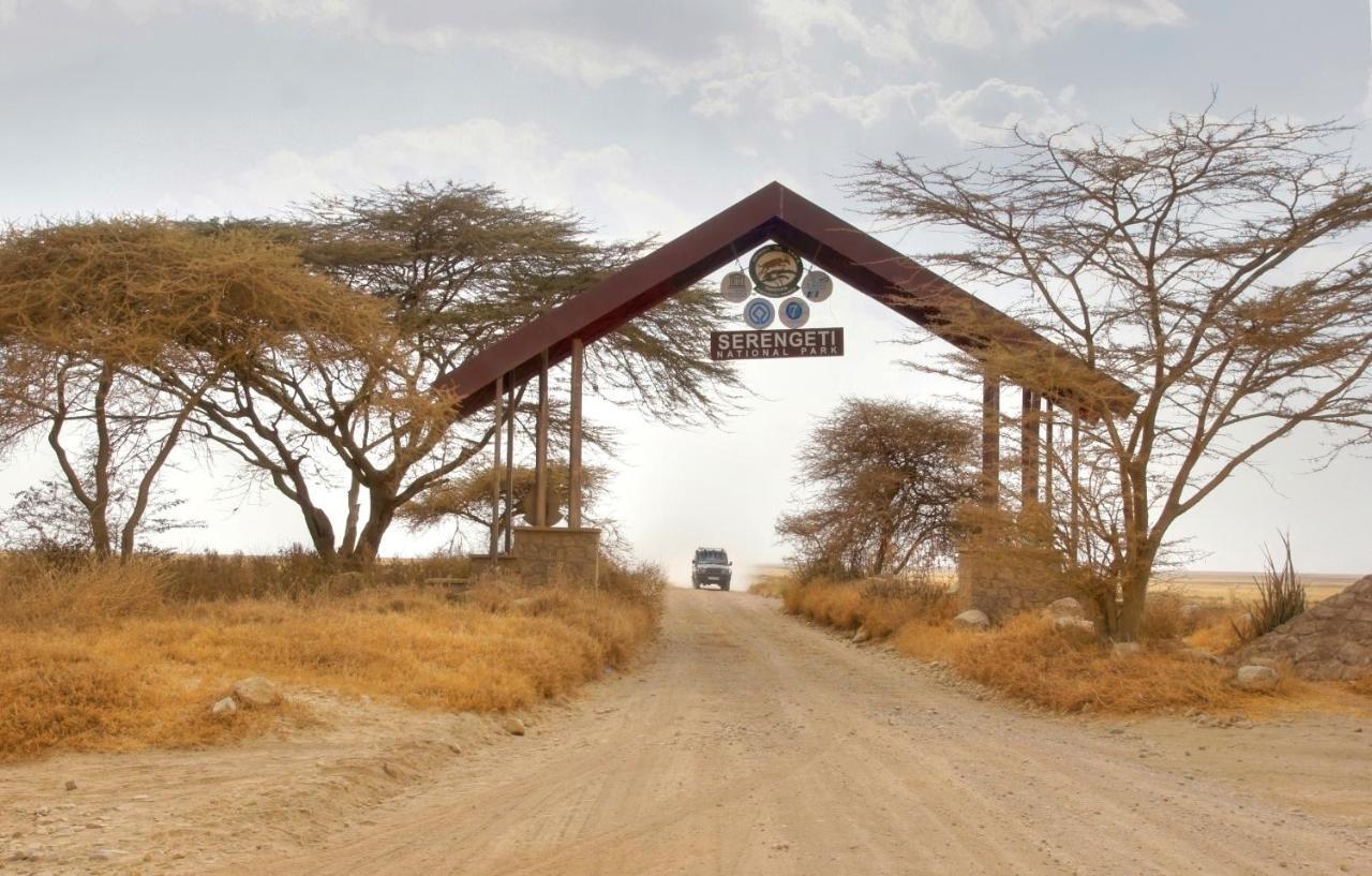 Africa Safari South Serengeti Ndutu Ngorongoro Sinoni Eksteriør bilde