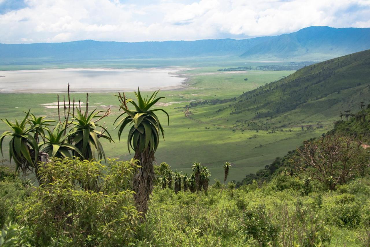 Africa Safari South Serengeti Ndutu Ngorongoro Sinoni Eksteriør bilde