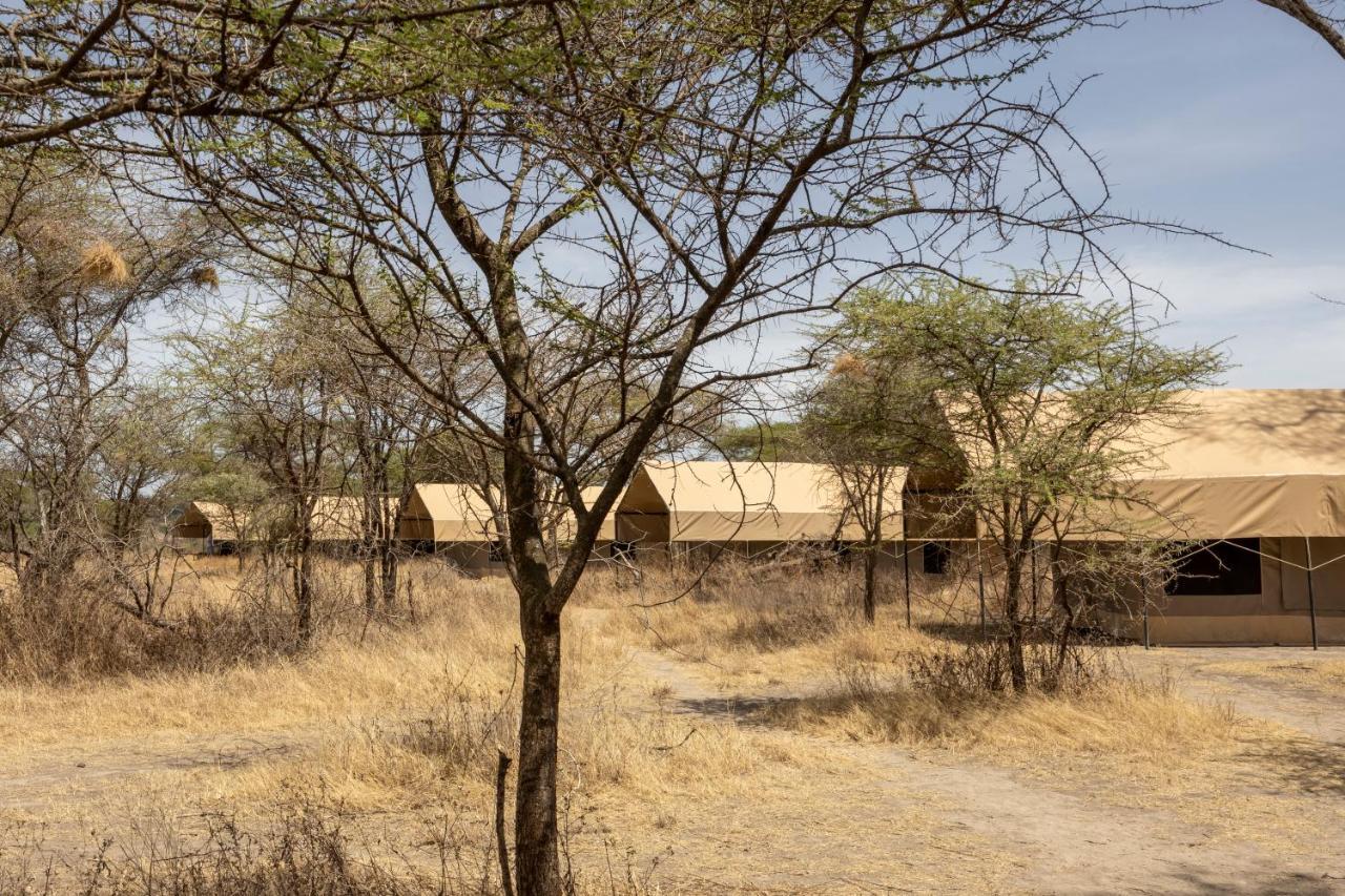 Africa Safari South Serengeti Ndutu Ngorongoro Sinoni Eksteriør bilde