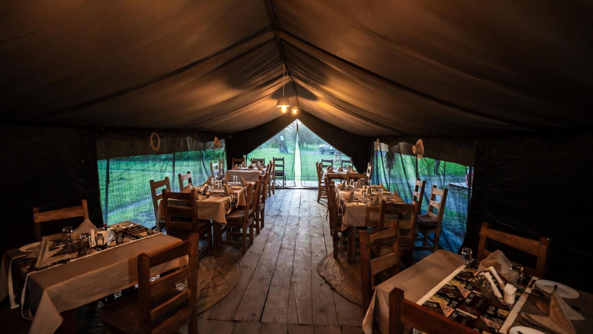 Africa Safari South Serengeti Ndutu Ngorongoro Sinoni Eksteriør bilde