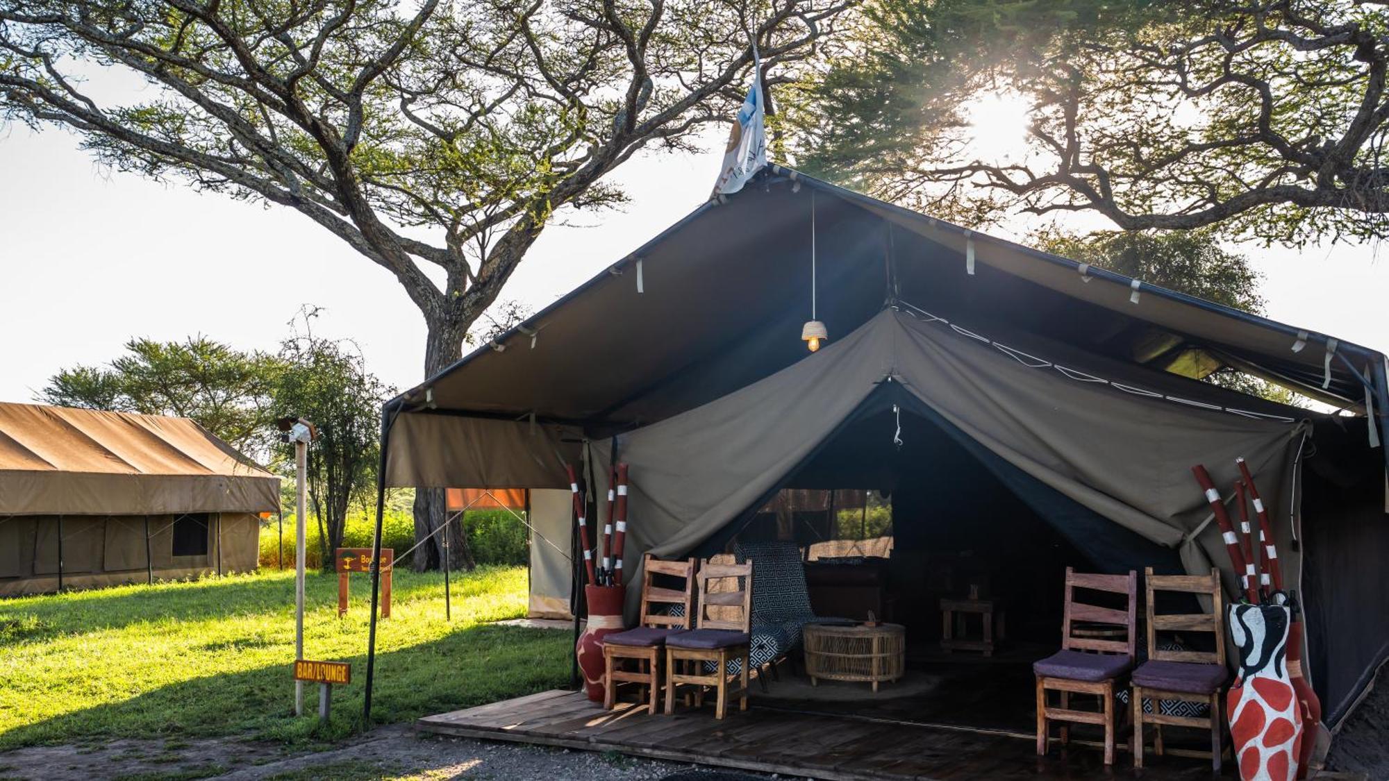 Africa Safari South Serengeti Ndutu Ngorongoro Sinoni Eksteriør bilde