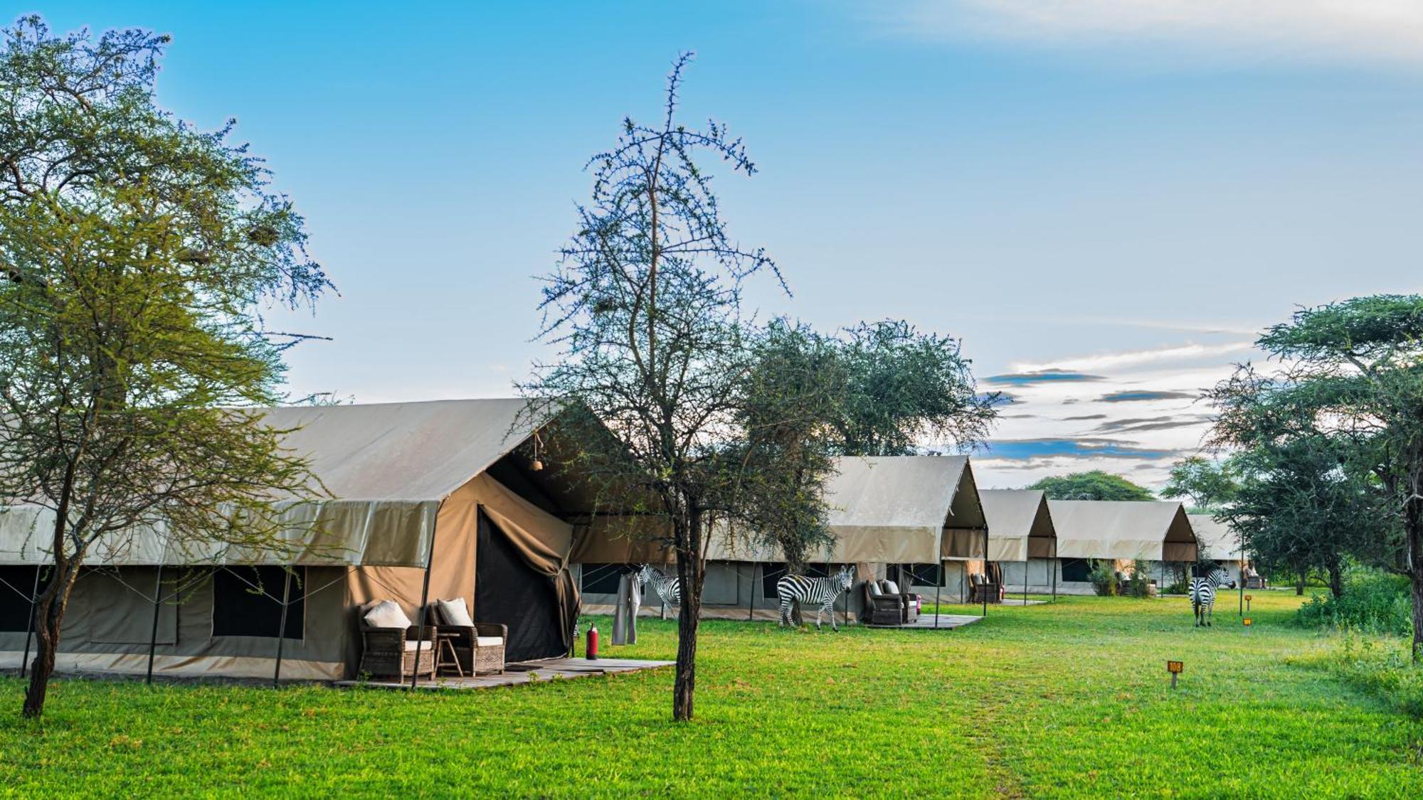 Africa Safari South Serengeti Ndutu Ngorongoro Sinoni Eksteriør bilde