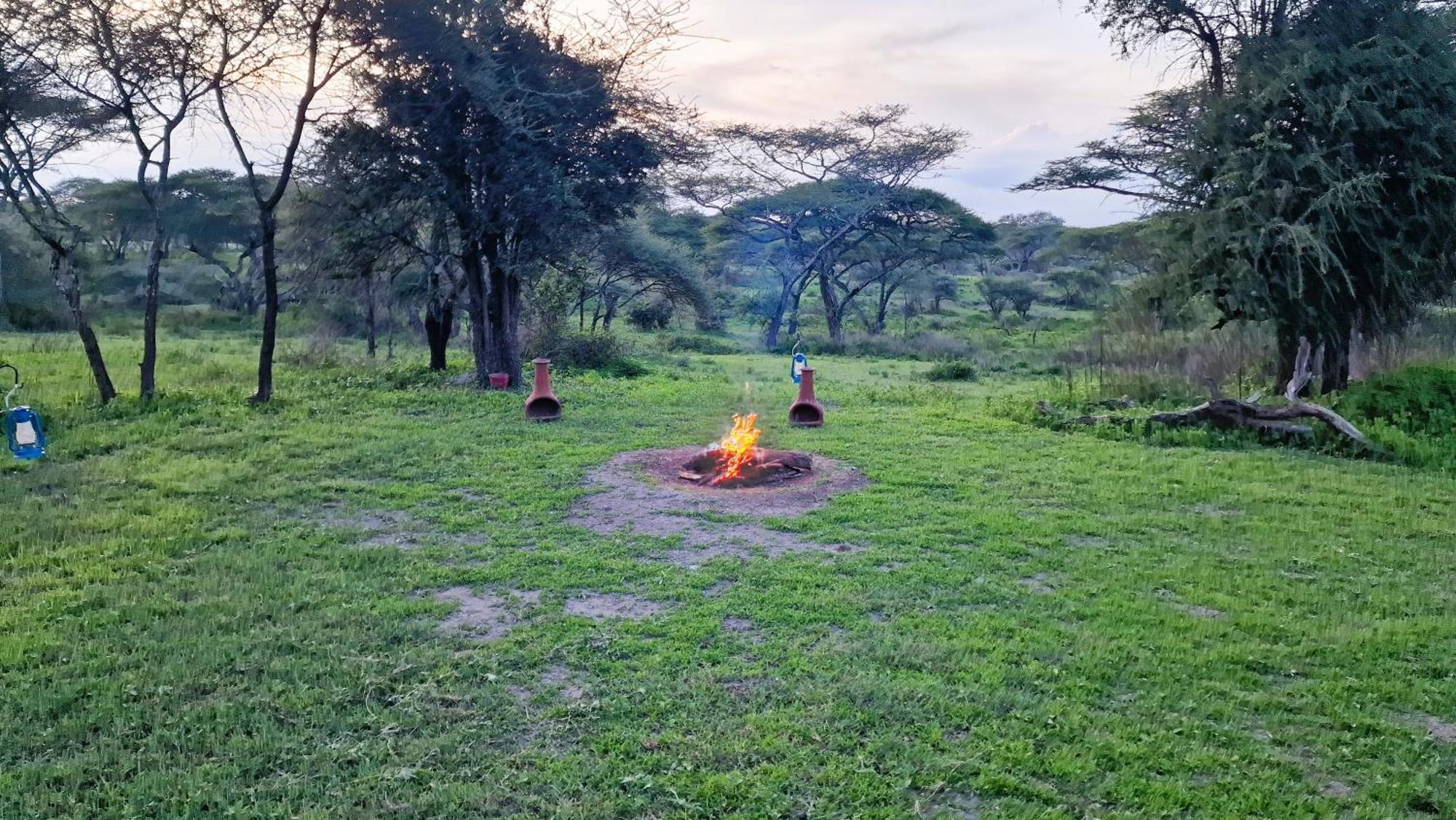 Africa Safari South Serengeti Ndutu Ngorongoro Sinoni Eksteriør bilde