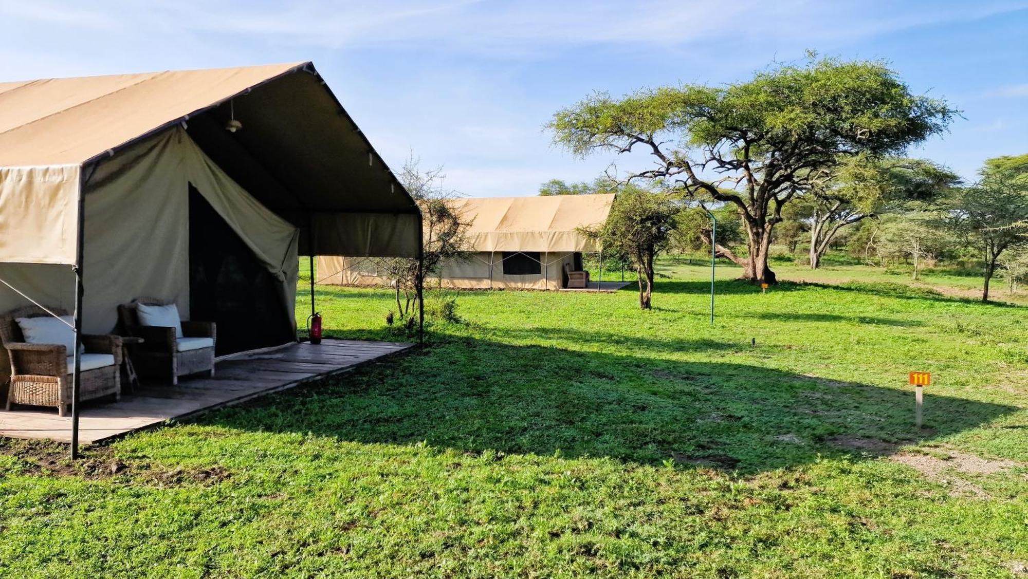 Africa Safari South Serengeti Ndutu Ngorongoro Sinoni Eksteriør bilde