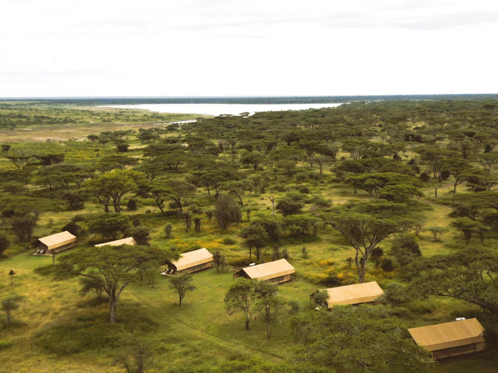 Africa Safari South Serengeti Ndutu Ngorongoro Sinoni Eksteriør bilde