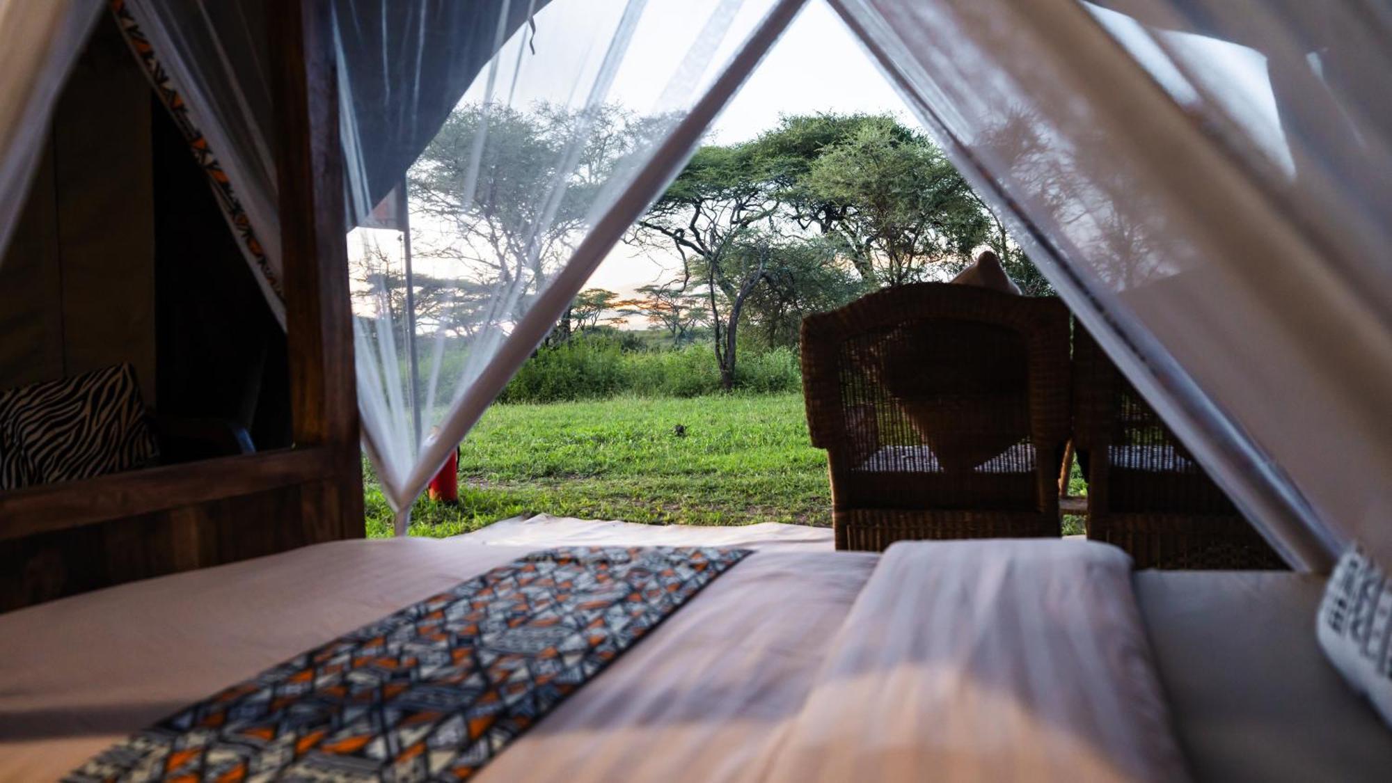 Africa Safari South Serengeti Ndutu Ngorongoro Sinoni Eksteriør bilde