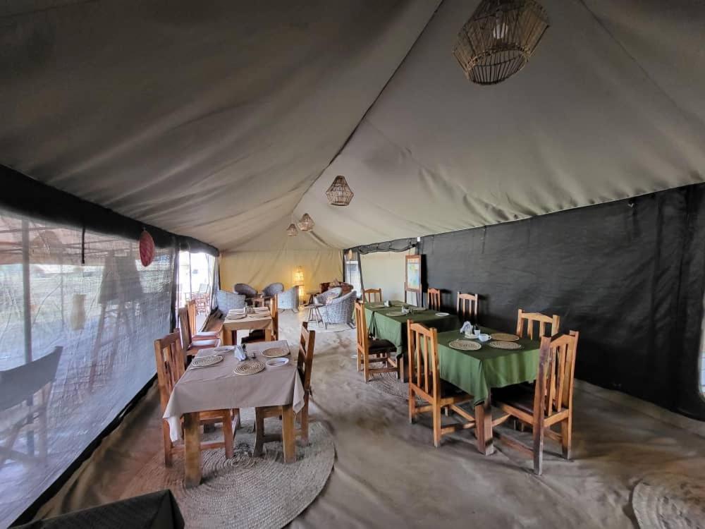 Africa Safari South Serengeti Ndutu Ngorongoro Sinoni Eksteriør bilde